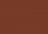 RAL 8029